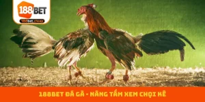 188bet-da-ga-bia