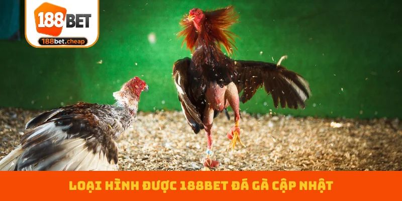 loai-hinh-duoc-188bet-da-ga-cap-nhat