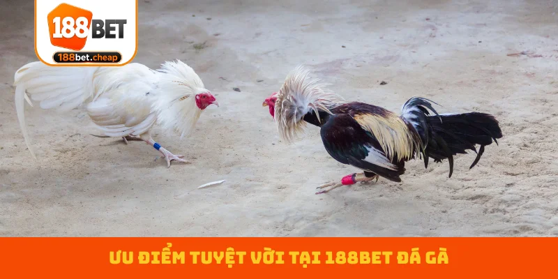 uu-diem-tuyet-voi-tai-188bet-da-ga
